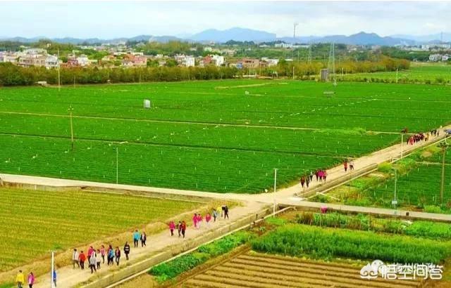 （在上海出生的八十年代颇有名气的电影演员你能说出多少位）