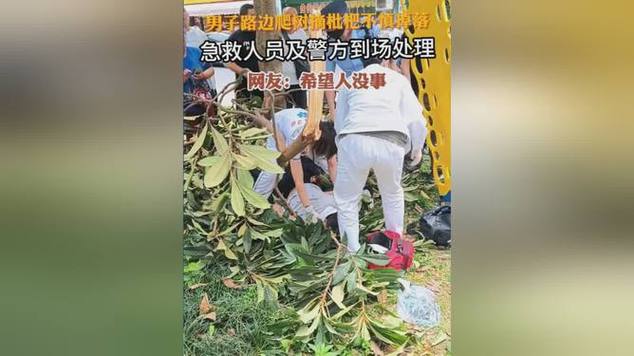 49.ccm澳门开奖和老人上树摘枇杷被困与爬树摘枇杷