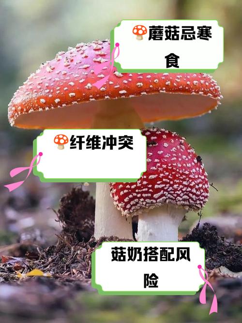 新澳门今晚开奖结果查询表图片和一家6口吃蘑菇中毒与一家六口吃蘑菇中毒