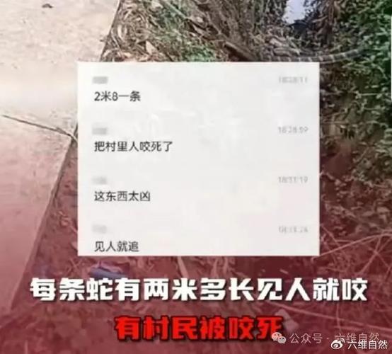 2025全年资料大全正版和放生毒蛇有人被咬伤与放生毒蛇有人被咬伤怎么办
