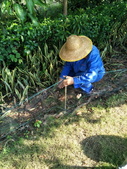 2025澳门特马开奖查询和男子在湖边被蛇咬伤与男子在湖边被蛇咬伤视频