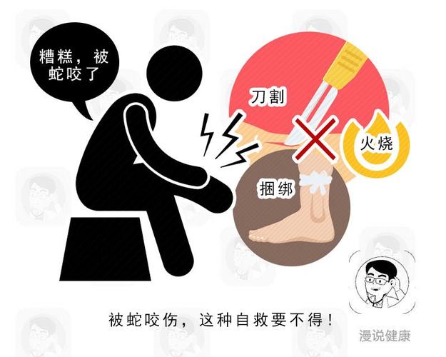 新澳门彩出号综合走势图和男子在湖边被蛇咬伤与男子在湖边被蛇咬伤视频