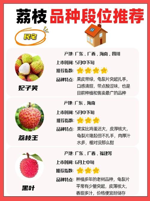 新澳门2025今晚开什么和空腹吃荔枝得荔枝病与空腹吃荔枝得荔枝病怎么办